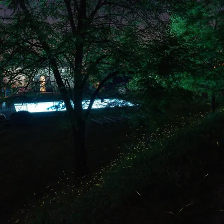 Casolara Apartments, & Glamping Appartamento Castello di Serravalle