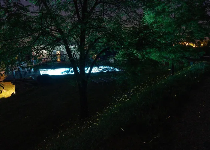 Casolara Apartments, & Glamping Appartamento Castello di Serravalle